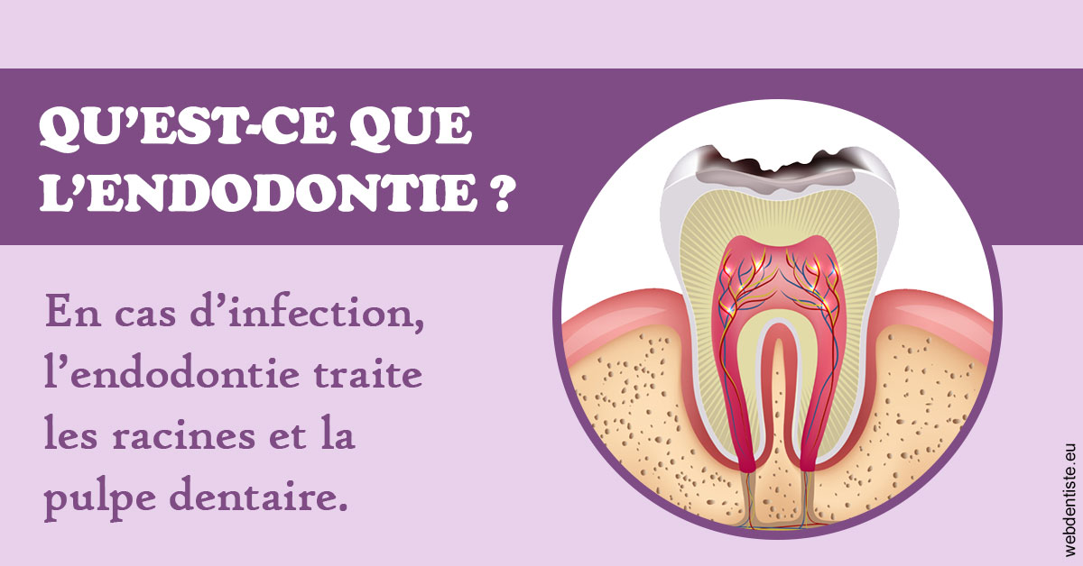 https://www.smileclinique83.fr/2024 T1 - Endodontie 02