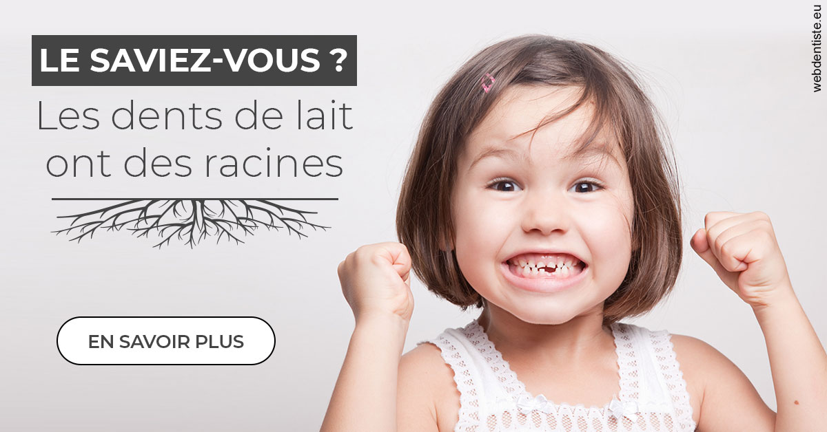 https://www.smileclinique83.fr/Les dents de lait