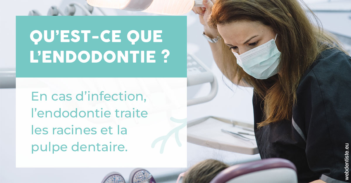 https://www.smileclinique83.fr/2024 T1 - Endodontie 01