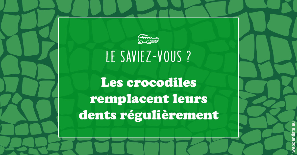 https://www.smileclinique83.fr/Crocodiles 1